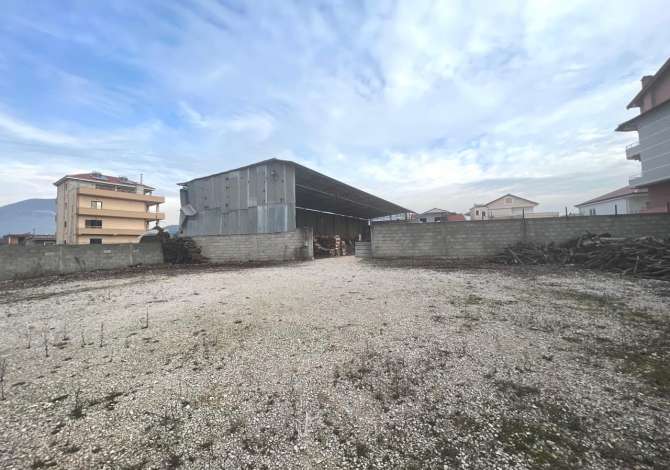 Ambiente Commerciale in Affitto 4+1 a Tirana - 1,350 Euro