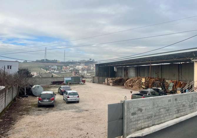 Ambiente Commerciale in Affitto 4+1 a Tirana - 1,350 Euro