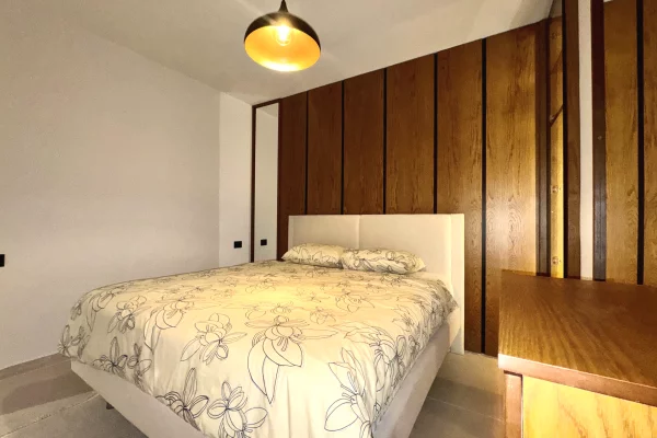 Shtepi me qera Apartament ne Tirane, 1+1, Mobilimi E mobiluar, Pagesa 700  Euro.