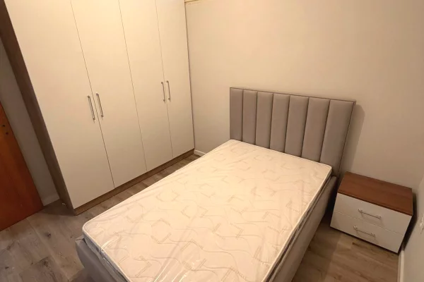 Shtepi me qera Apartament ne Tirane, 2+1, Mobilimi E mobiluar, Pagesa 470  Euro.