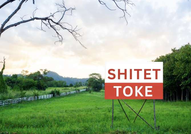 SHITET TOKE 500 M2 - SELITE 