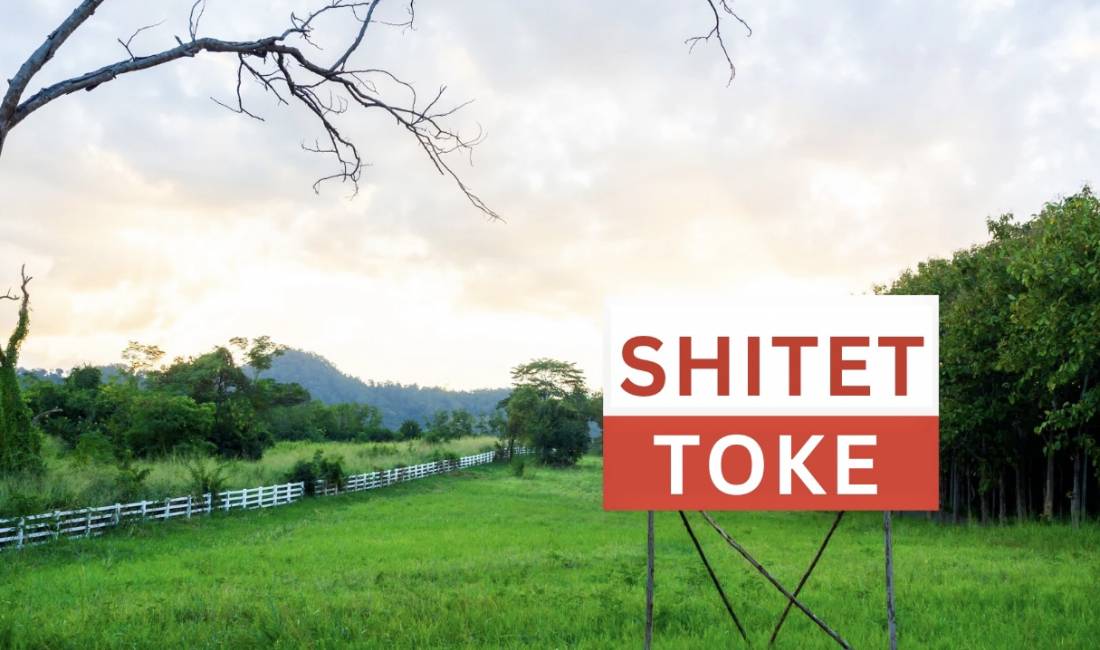 SHITET TOKE 500 M2 - SELITE 