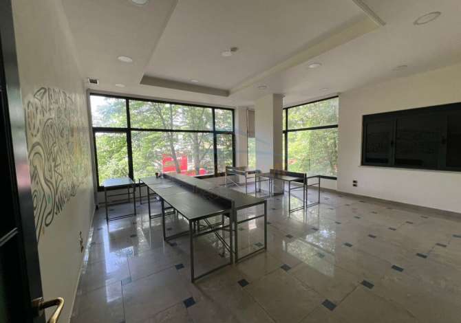 Shitet, Ambient Biznesi, Sheshi Wilson, Blloku