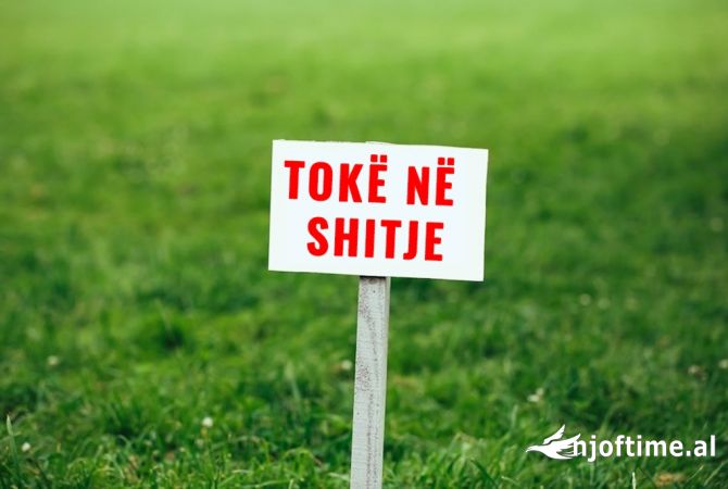 Shitet Truall ne Elbasan