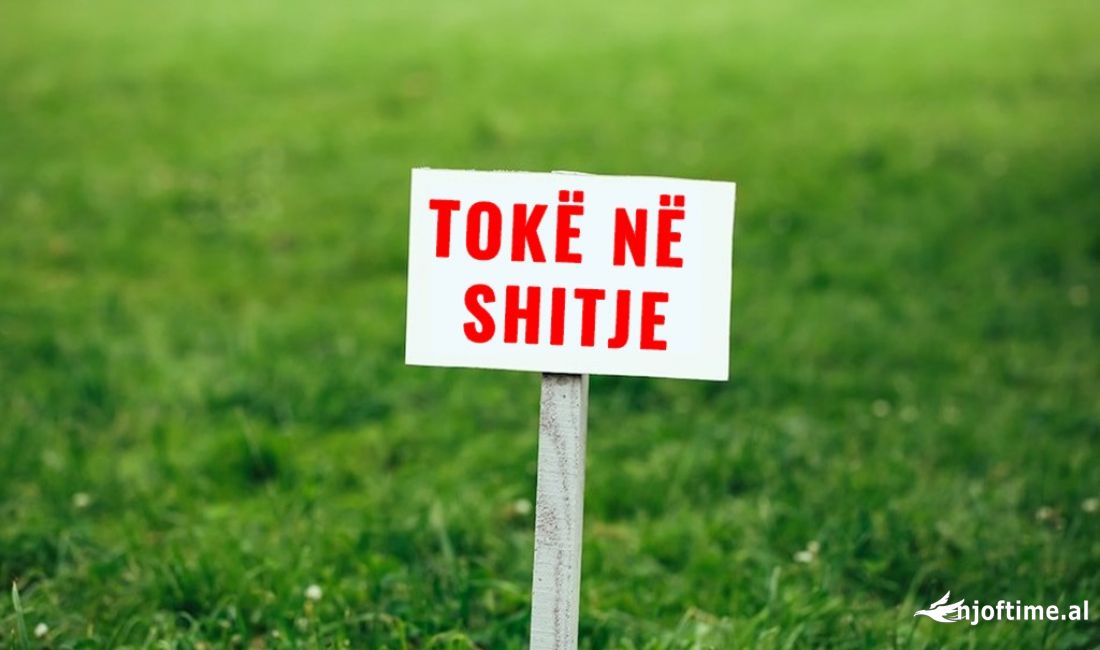 Shitet Truall ne Elbasan