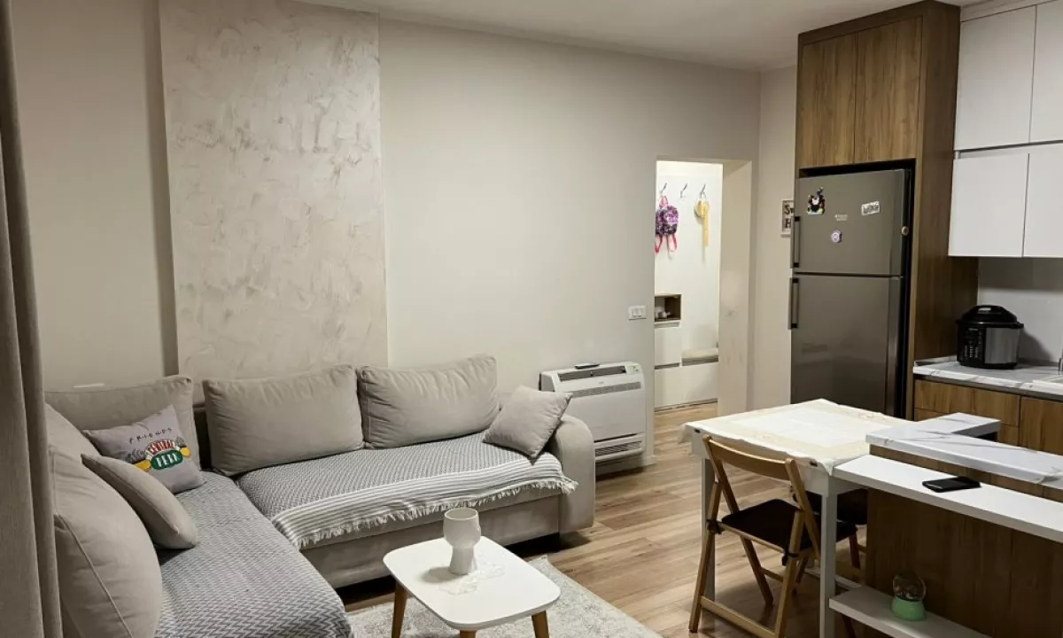 Shtepi ne shitje Apartament ne Tirane, 1+1, Mobilimi E mobiluar, Pagesa 165,000  Euro.