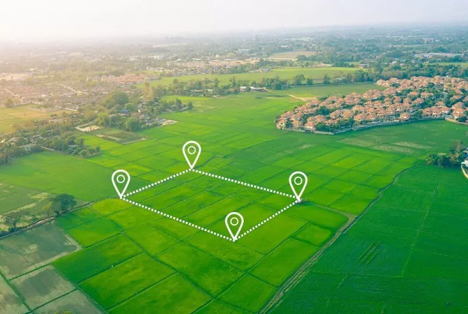 Shitet Toke, Vore, Tirane