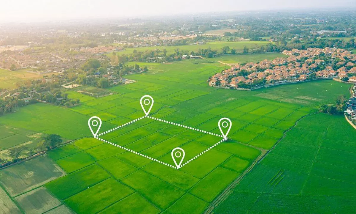 Shitet Toke, Vore, Tirane