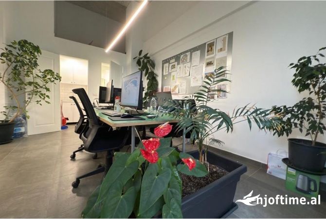 Ambiente Commerciale in Affitto 3+1 a Tirana - 600 Euro