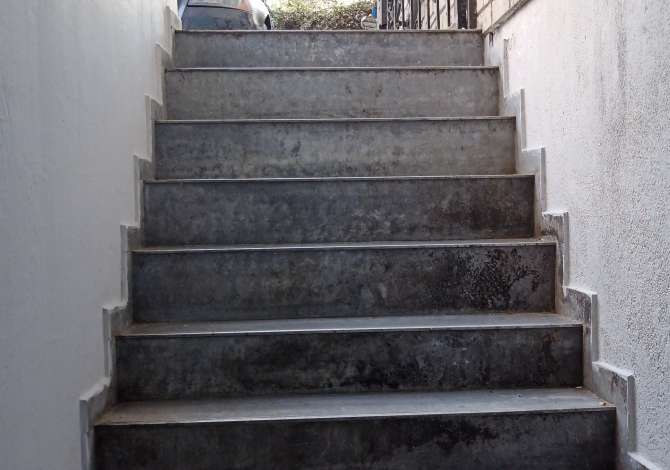 OKAZIOOOON SHITET AMBIENT BIZNESI PERBALLE DELIJORGJIT