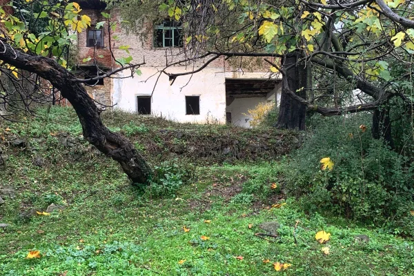 Shitet toke ne Dajt + Shtepi te Vjeter/110,000 euro