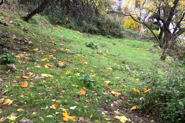 Truall ose Toke ne Tirane - 110,000 Euro