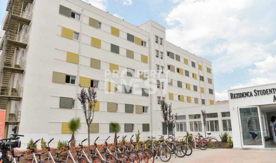 DYQAN NE SHITJE, QYTET STUDENTI.