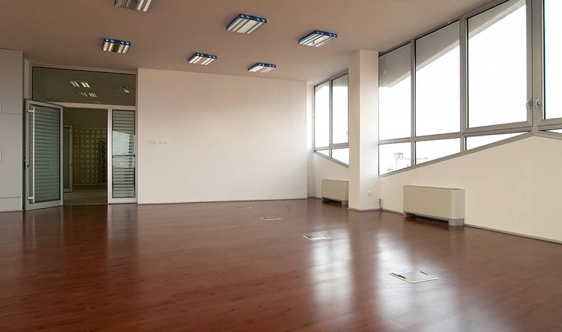 AMBJENT BIZNESI ME QIRA TEK SHESHI WILLSON