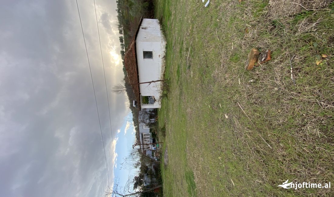 JEPET TOKE ME QERA NE YZBERISHT