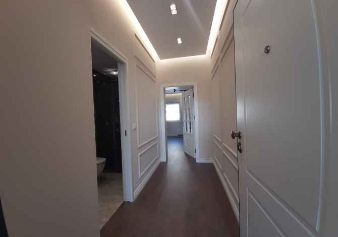 Ambiente Commerciale in Affitto 3+1 a Tirana - 350 Euro