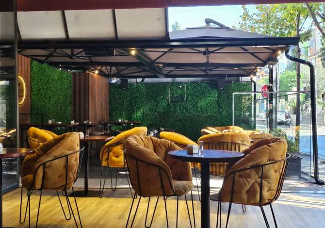 Ambient biznesi me qera 2+1 ne Tirane - 1,700 Euro