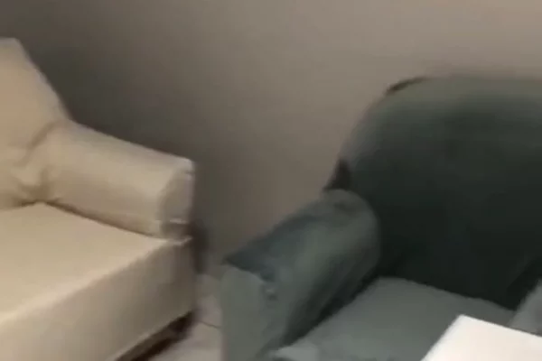 Shtepi me qera Apartament ne Tirane, 1+1, Mobilimi E mobiluar, Pagesa 35,000  Leke.