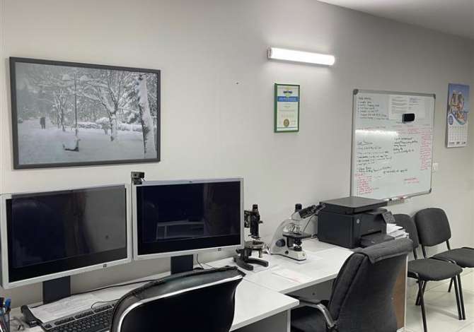 Jepet zyre e kompletuar pas Fakultetit te Shkencave , rruga haxhi hysen daliu