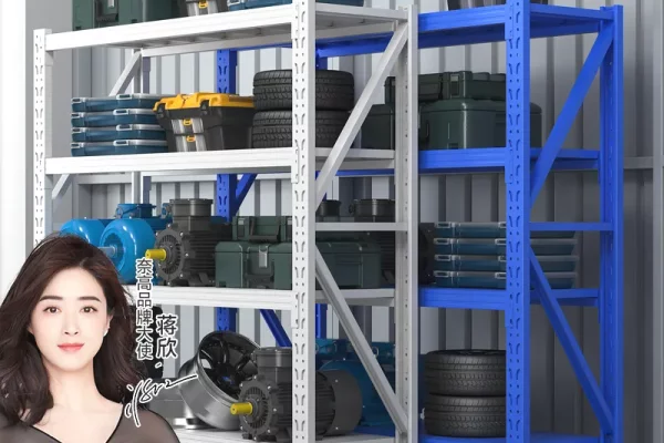 RAFTE METALIKE TE REJA 2Mx2Mx0.6M