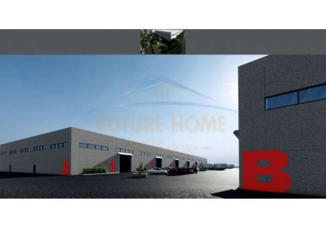 Shitet Kapanon Picare, Vore.UNA32941