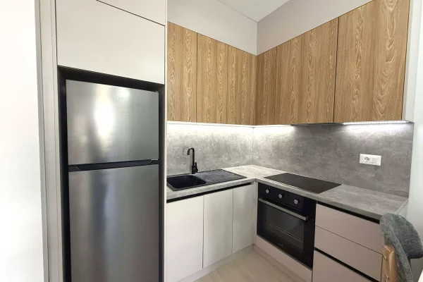 Shtepi me qera Apartament ne Tirane, 1+1, Mobilimi E mobiluar, Pagesa 420  Euro.