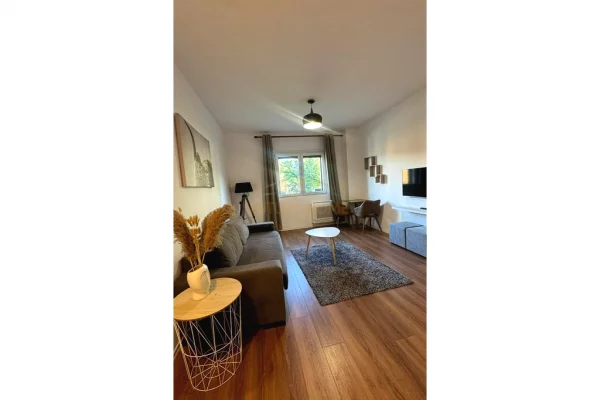 Shtepi me qera Apartament ne Tirane, 2+1, Mobilimi E mobiluar, Pagesa 650  Euro.