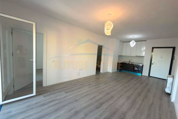 Shtepi me qera Apartament ne Tirane, 1+1, Mobilimi E mobiluar, Pagesa 55,000  Euro.