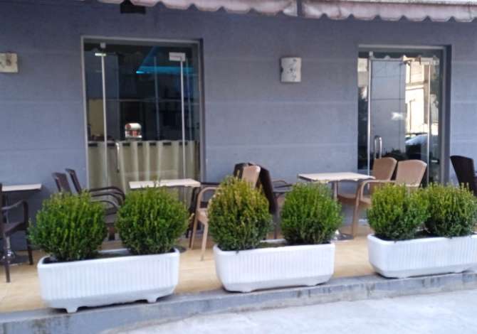Ambient biznesi me qera 2+1 ne Tirane - 1,000 Euro
