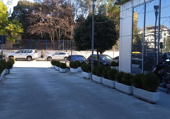 Ambient biznesi me qera 2+1 ne Tirane - 1,000 Euro