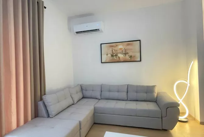 APARTAMENT 1+1 ME QIRA TEK DELIJORGJI!