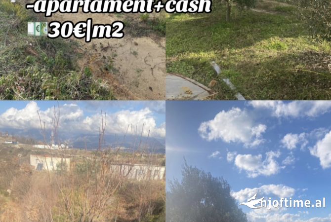Shiten 10 dylym toke , Yzberisht , nderrim me makine/apartament+cash , 30€\m2