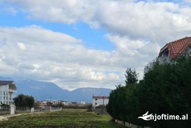 Shiten 4 dylym toke , 60€\m2 