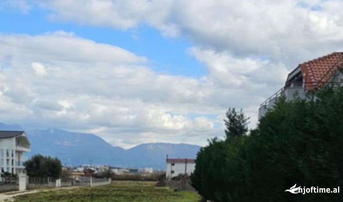 Shiten 4 dylym toke , 60Euro\m2 