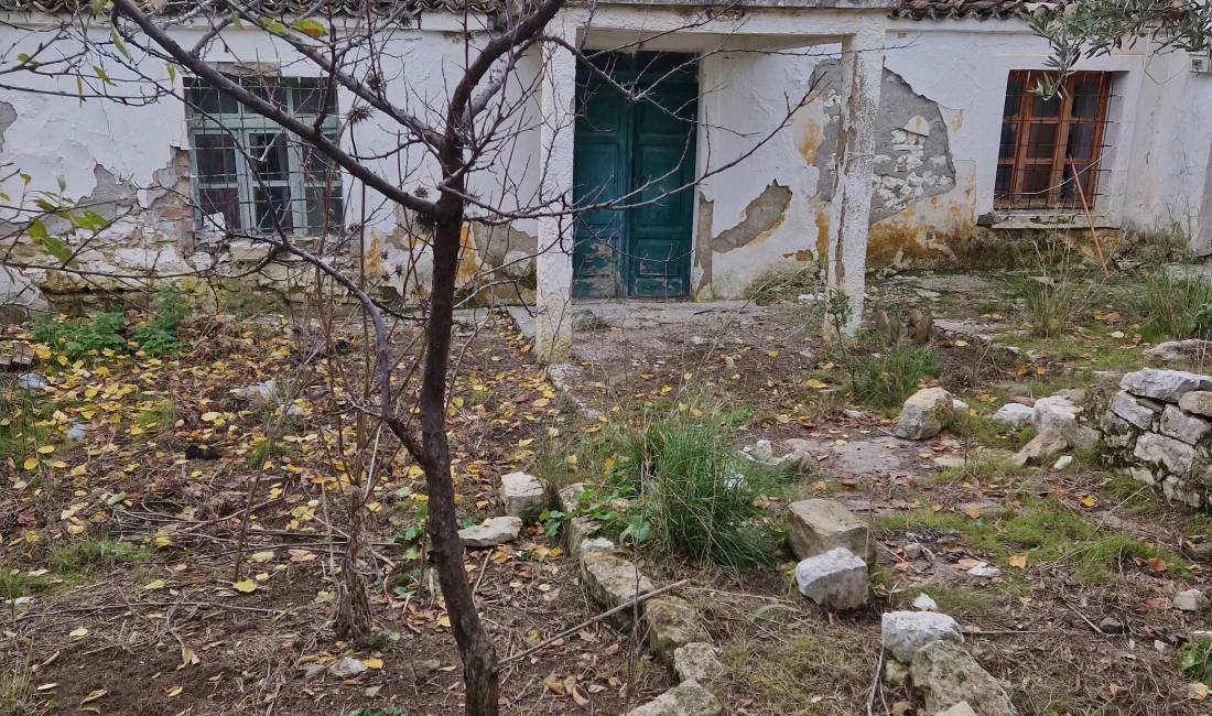 Trualle me Shtepi KANINE-Vlore