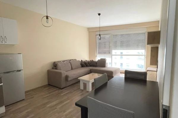 Apartment for rent in Tirana 1+1, Furnished