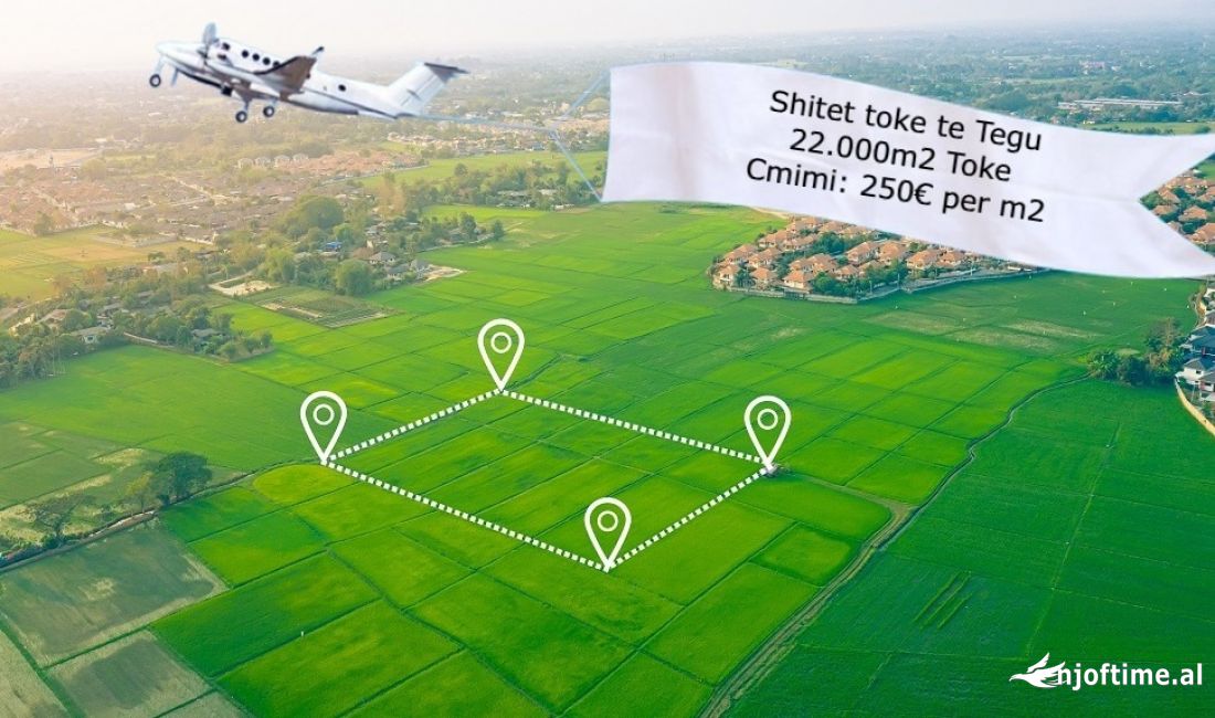 Shitet toke tek Tegu