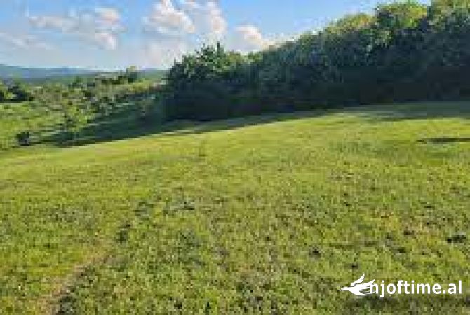Land for Sale in Kruja - 100,000 Euro