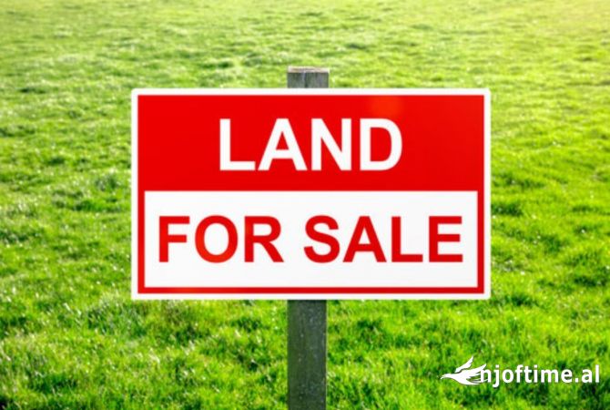 Shitet toke truall Preze