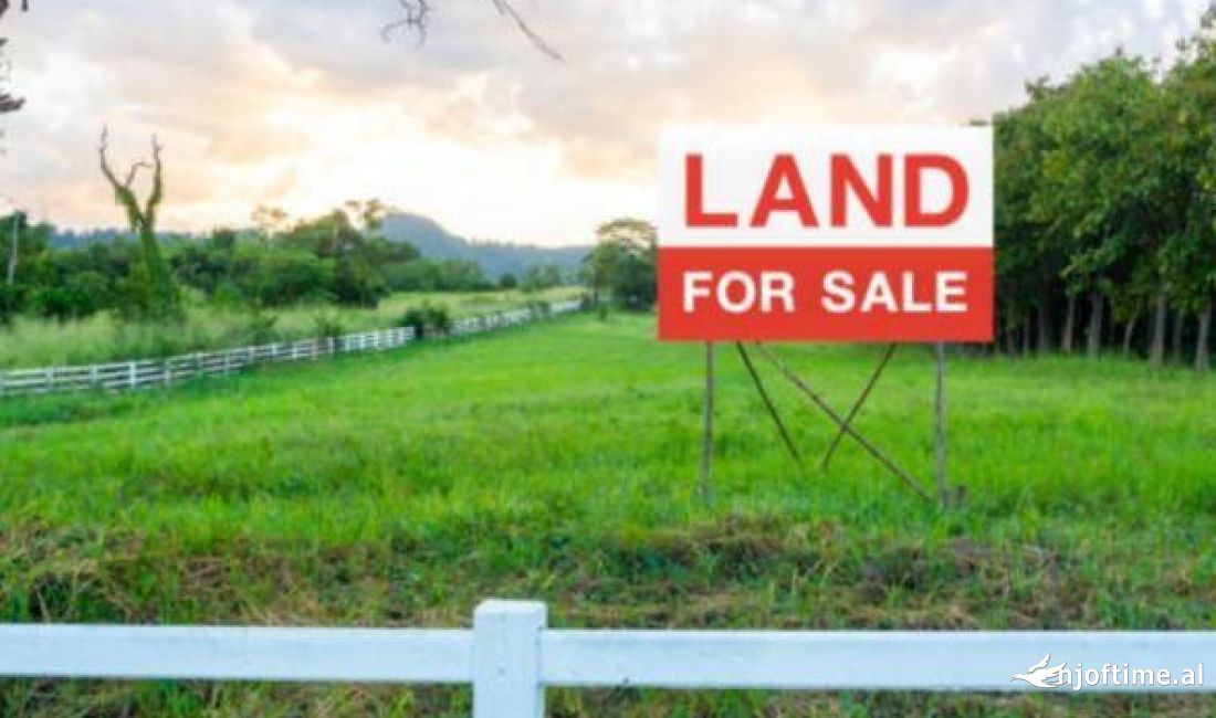 Shitet toke truall ne Peze te Vogel.