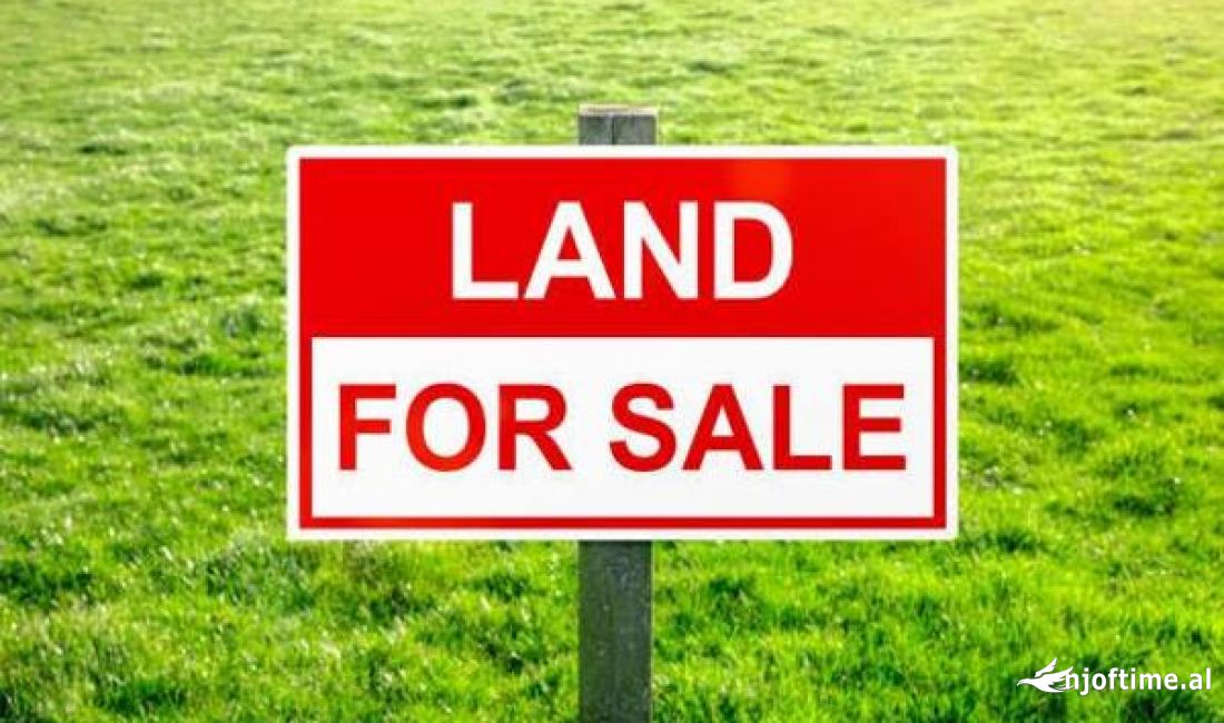 Shitet toke ne Fushe Kruje