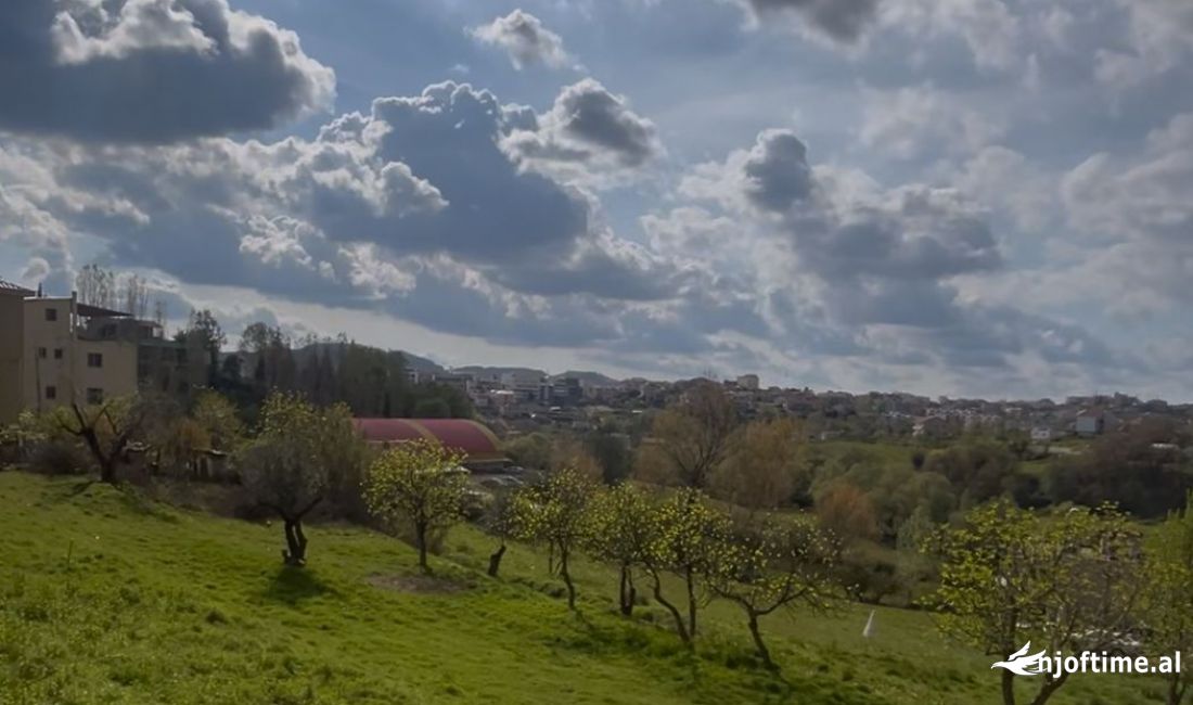 Shitet toke/truall ne Farke