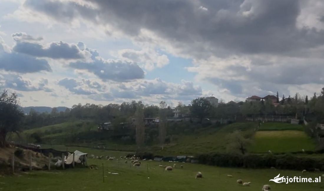 Shitet toke/truall ne Farke