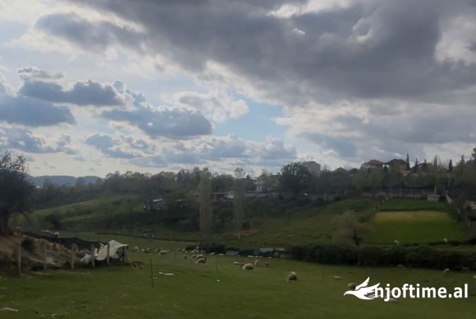 Truall ose Toke ne Tirane - 112,000 Euro