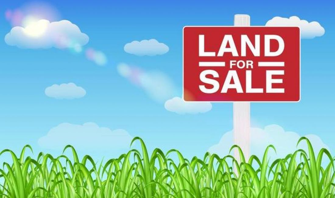 Shitet toka tek Kodra e Diellit 