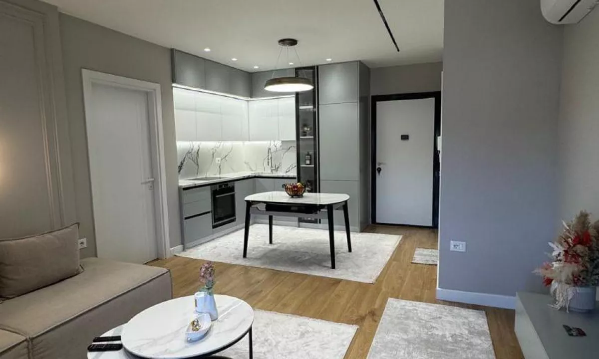 Shtepi ne shitje Apartament ne Tirane, 1+1, Mobilimi E mobiluar, Pagesa 170,000  Euro.