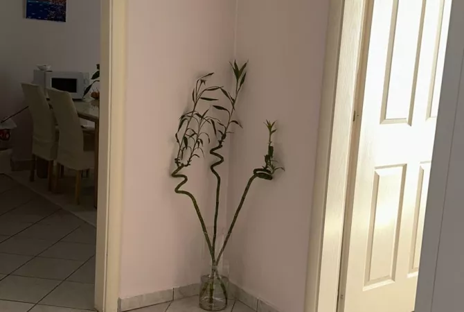 Shtepi me qera Apartament ne Tirane, 1+1, Mobilimi E mobiluar, Pagesa 450  Euro.