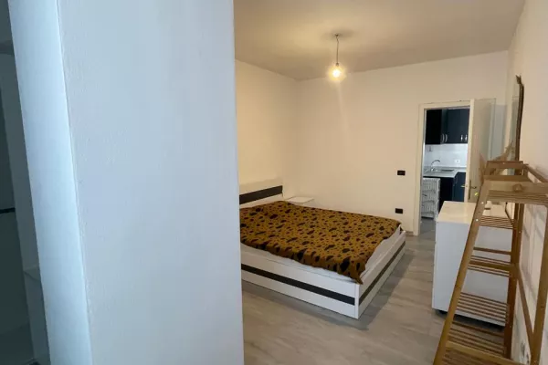 Shtepi ne shitje Apartament ne Tirane, 1+1, Mobilimi E mobiluar, Pagesa 125,000  Euro.