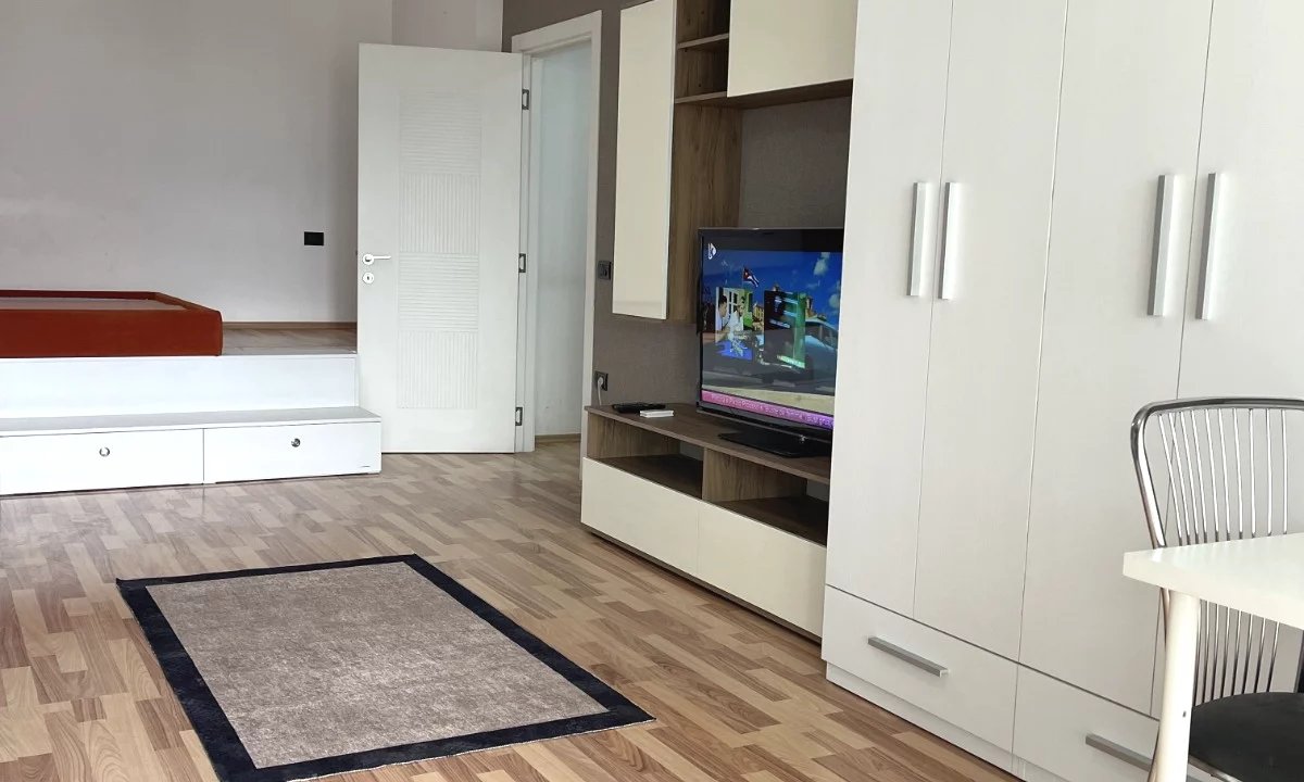 Shtepi ne shitje Apartament ne Tirane, Garsoniere, Mobilimi E mobiluar, Pagesa 65,000,000  Leke.