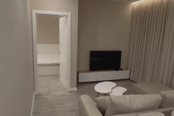 House for Rent 1+1 in Tirana - 65,000 Leke